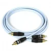 Dual 2RCA-2RCA Audio Cable - 2 meter