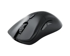 Model D 2 Pro Wireless Gaming Mouse - Black