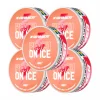 Pouch Energy - Peach On Ice (5-Pack)