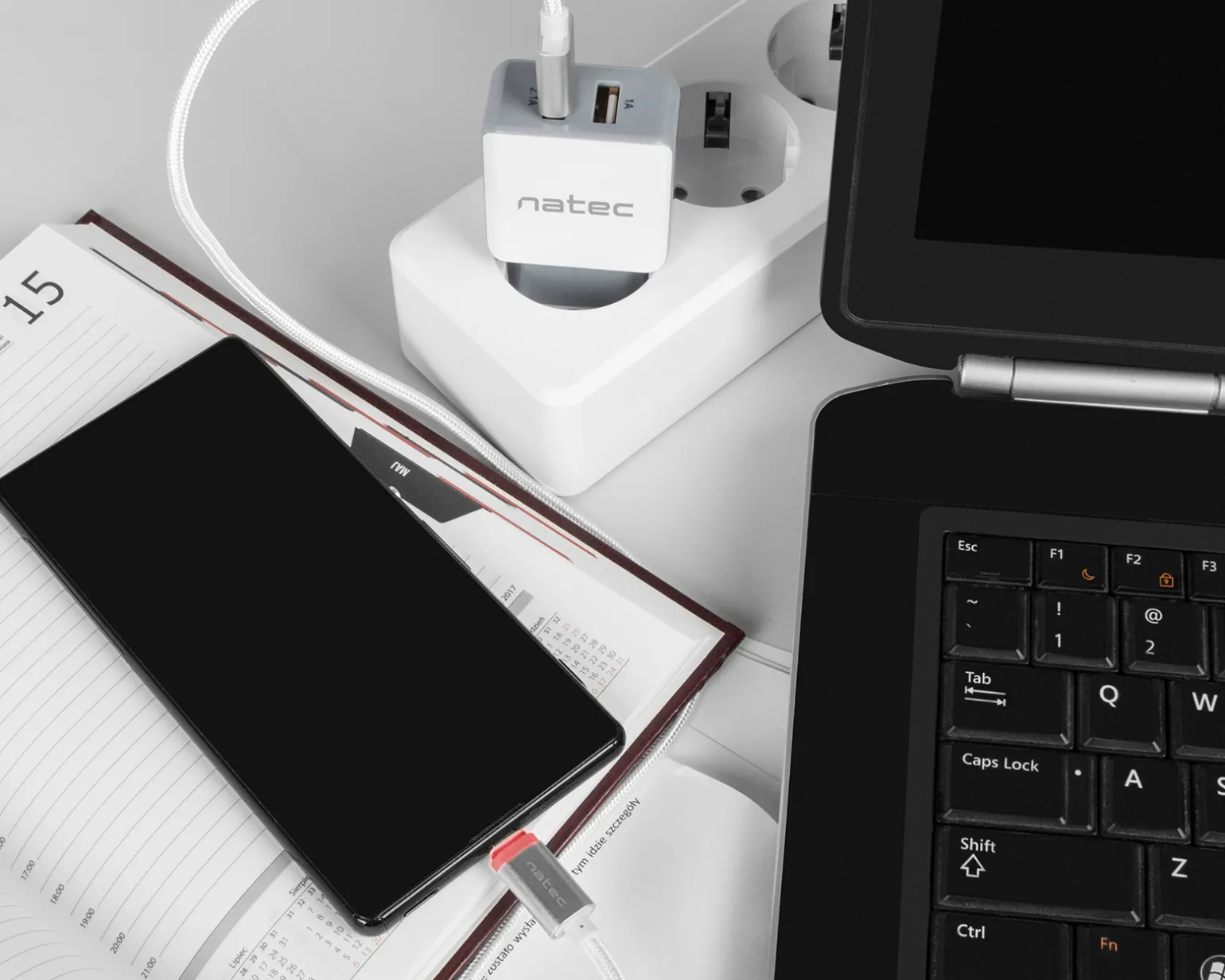 PRATI Charging Cable Micro USB to USB-A 2.0 - Silver LED 1m