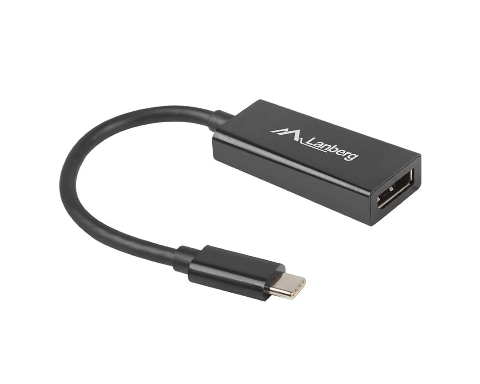USB-C Male to Displayport Female Adapter