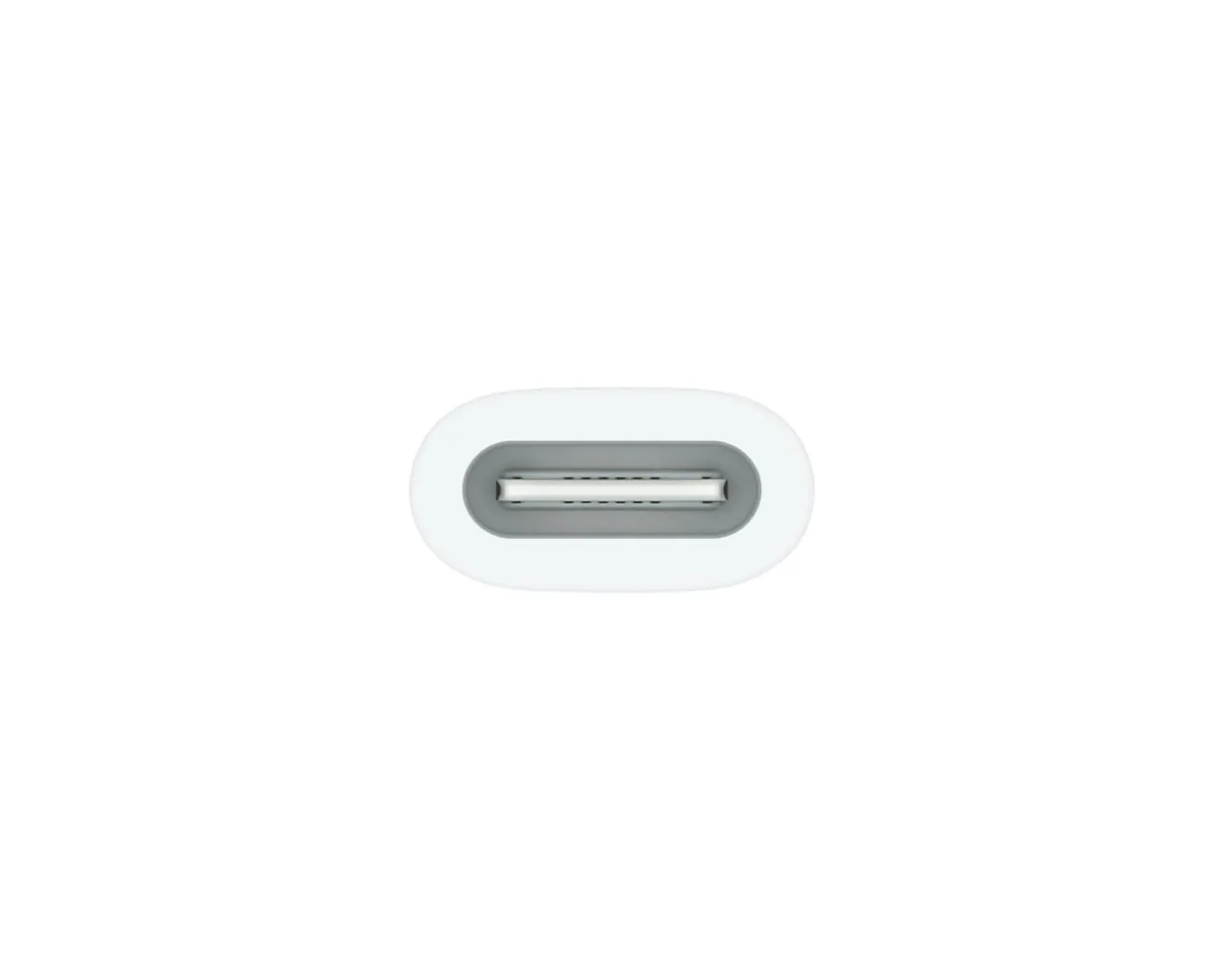 USB-C to Apple Pencil Adapter