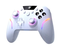 X20 HE Wireless Controller - Gray